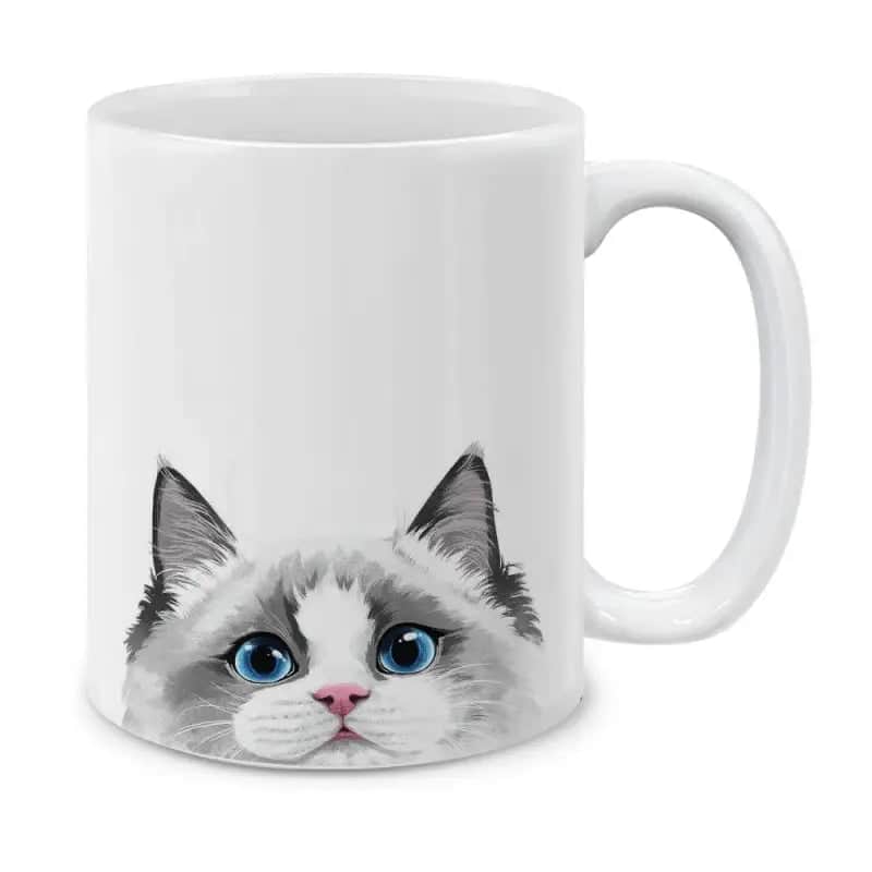 Katzentasse Hallo