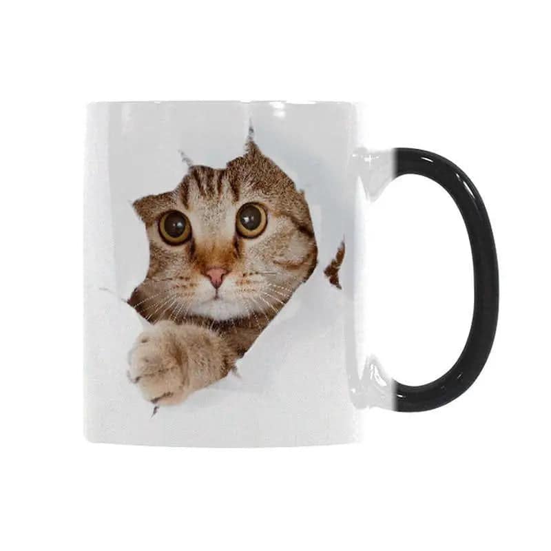 Katzentasse Magisch