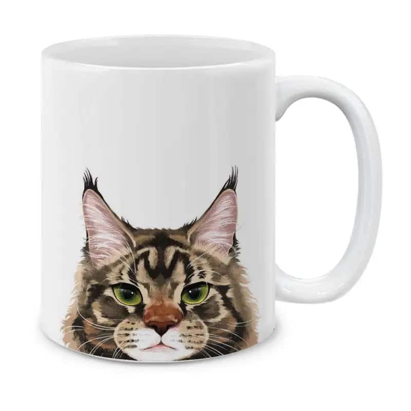 Katzentasse Maine Coon